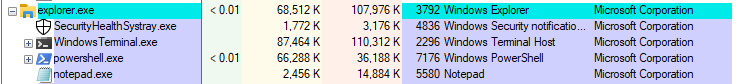 The spoofed notepad.exe hanging off explorer.exe in the process tree